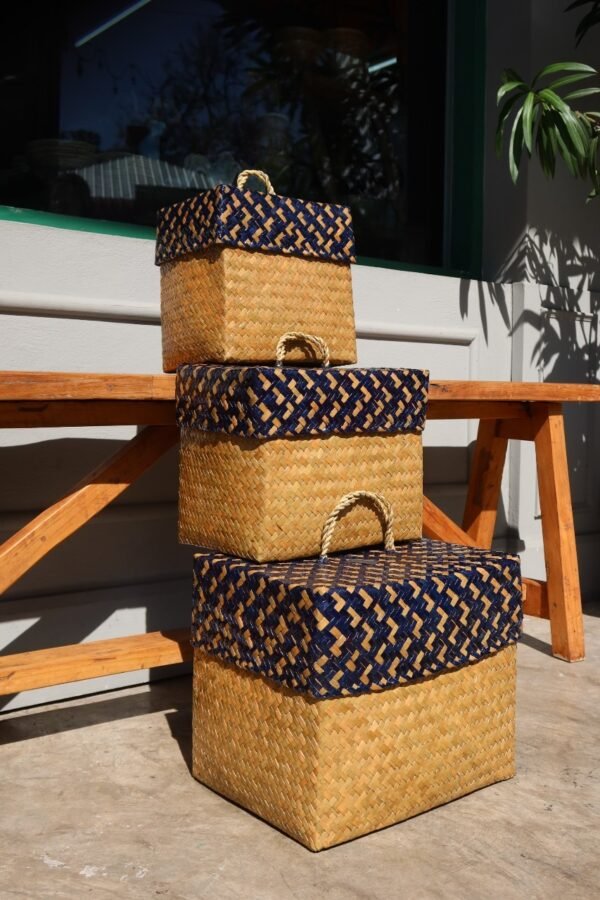 Two-Tone Rectagle Basket with Lid